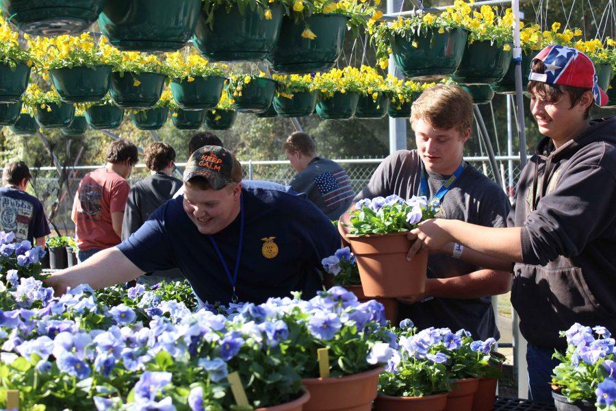 FFA Students enjoy themselves at the plant sale