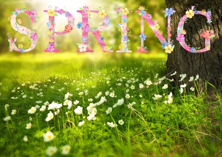 What is Your Favorite Thing About Spring?