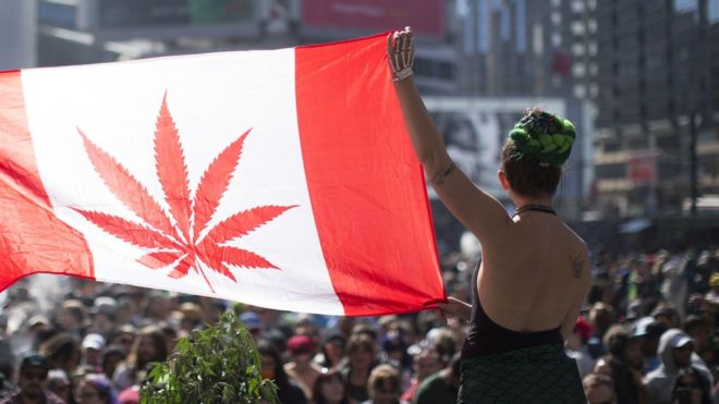 woman holding a Canadian flag with cannabis on it instead of a Maple leaf