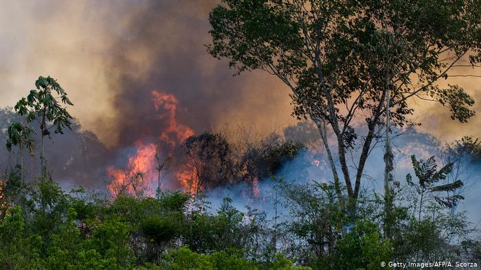 The Amazon fires continue to burn 