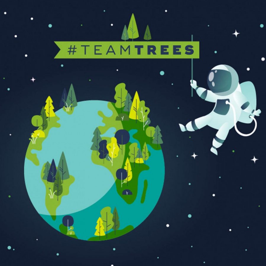 #TeamTrees: How Reddit Saved the World